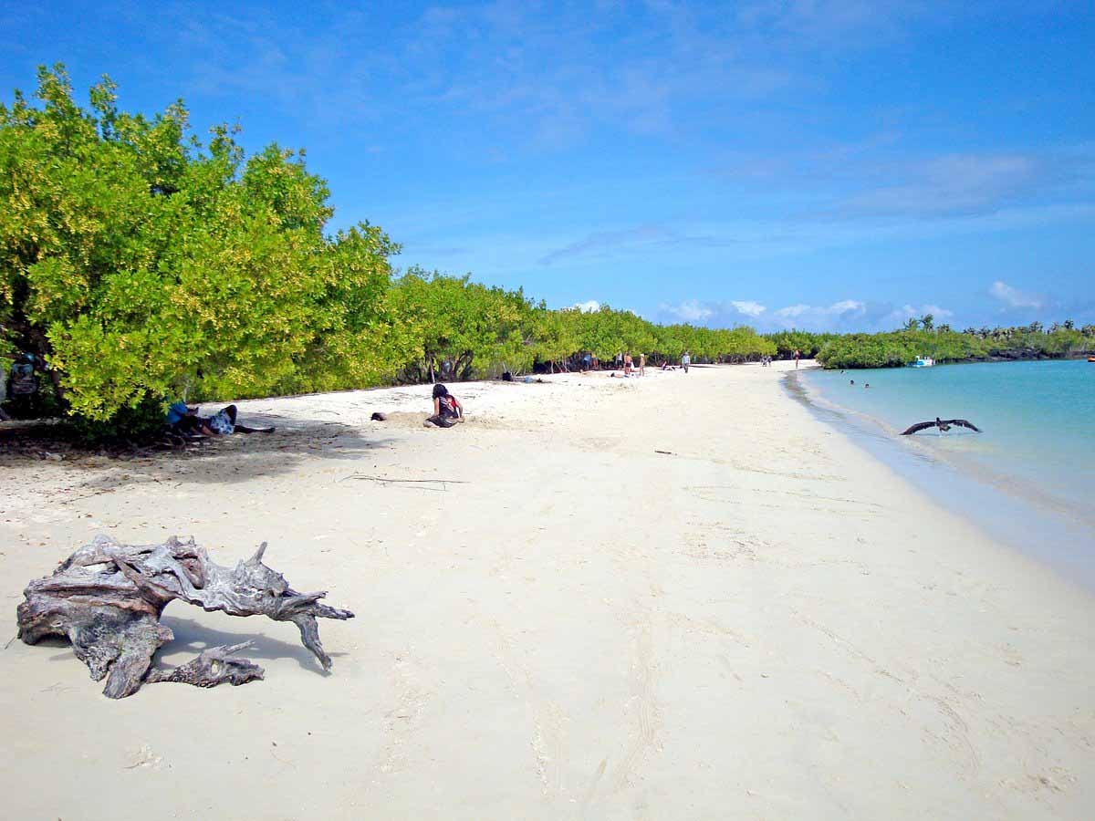 Tortuga Bay | Galapagos Islands
