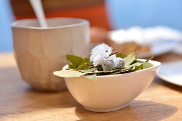 Traditional Coca Leaf | Amantica Lodge | Peru