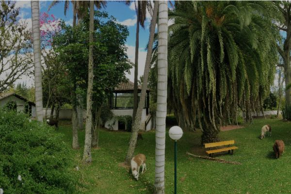Viewpoint | San José de Puembo | Ecuador