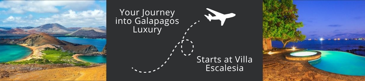 Discover Villa Escalesia with us Let us create a journey where nature, privacy, and unforgettable moments meet