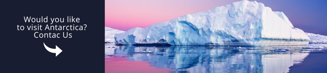 Visit Antarctica - Contact Us