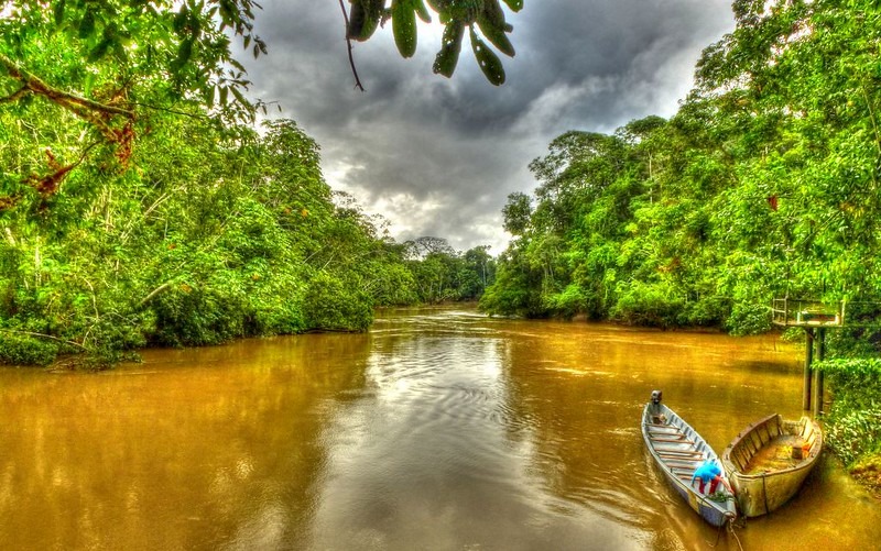 Yasuni | Ecuador