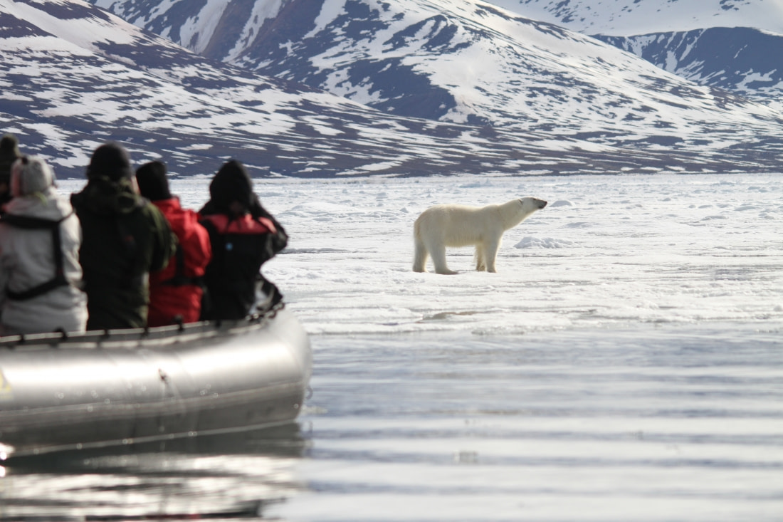 Zodiac cruising | Arctic