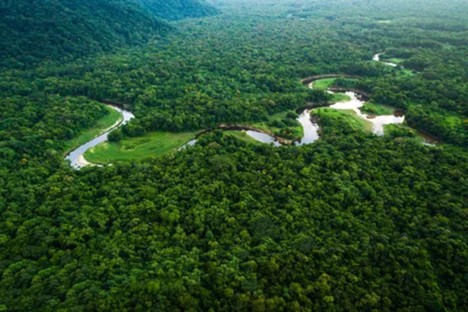 Amazonian landscape