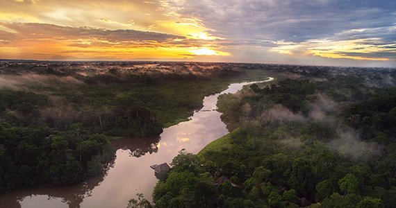 Amazon Rainforest | Ecuador