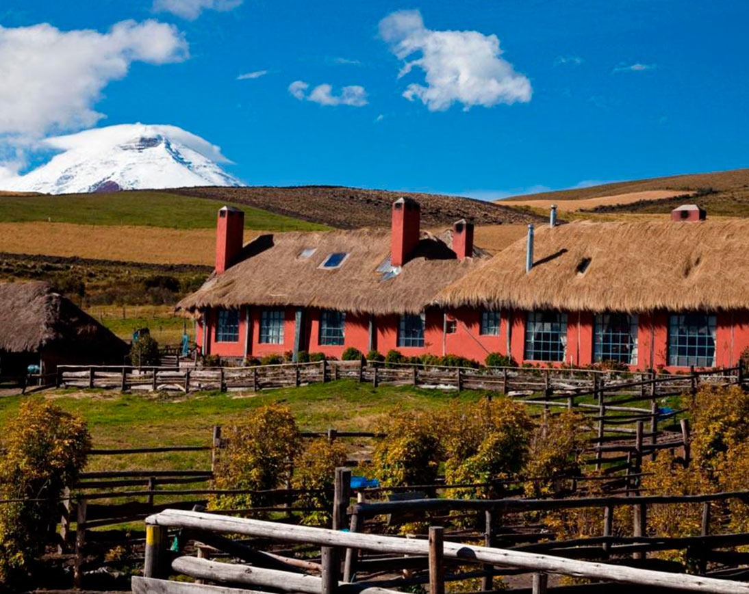 Climbing riding and treking andes | Ecuador