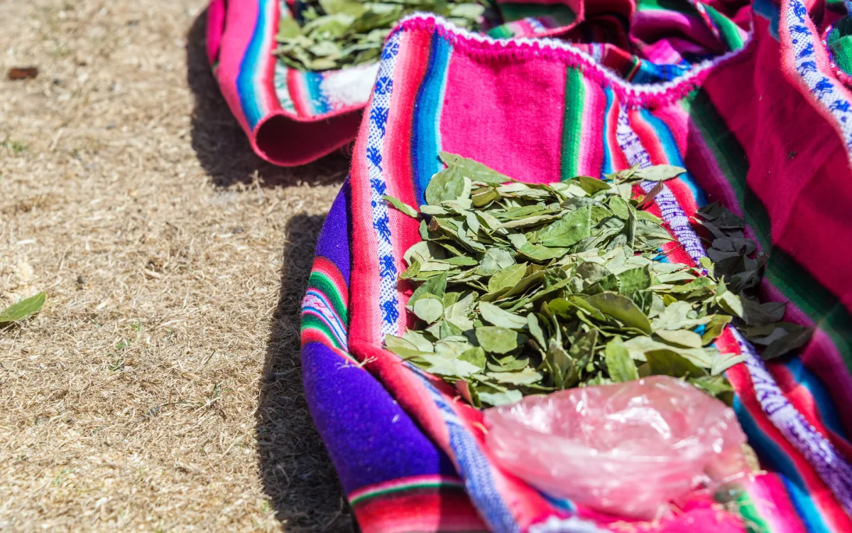 Coca Leaf and Culture | Peru