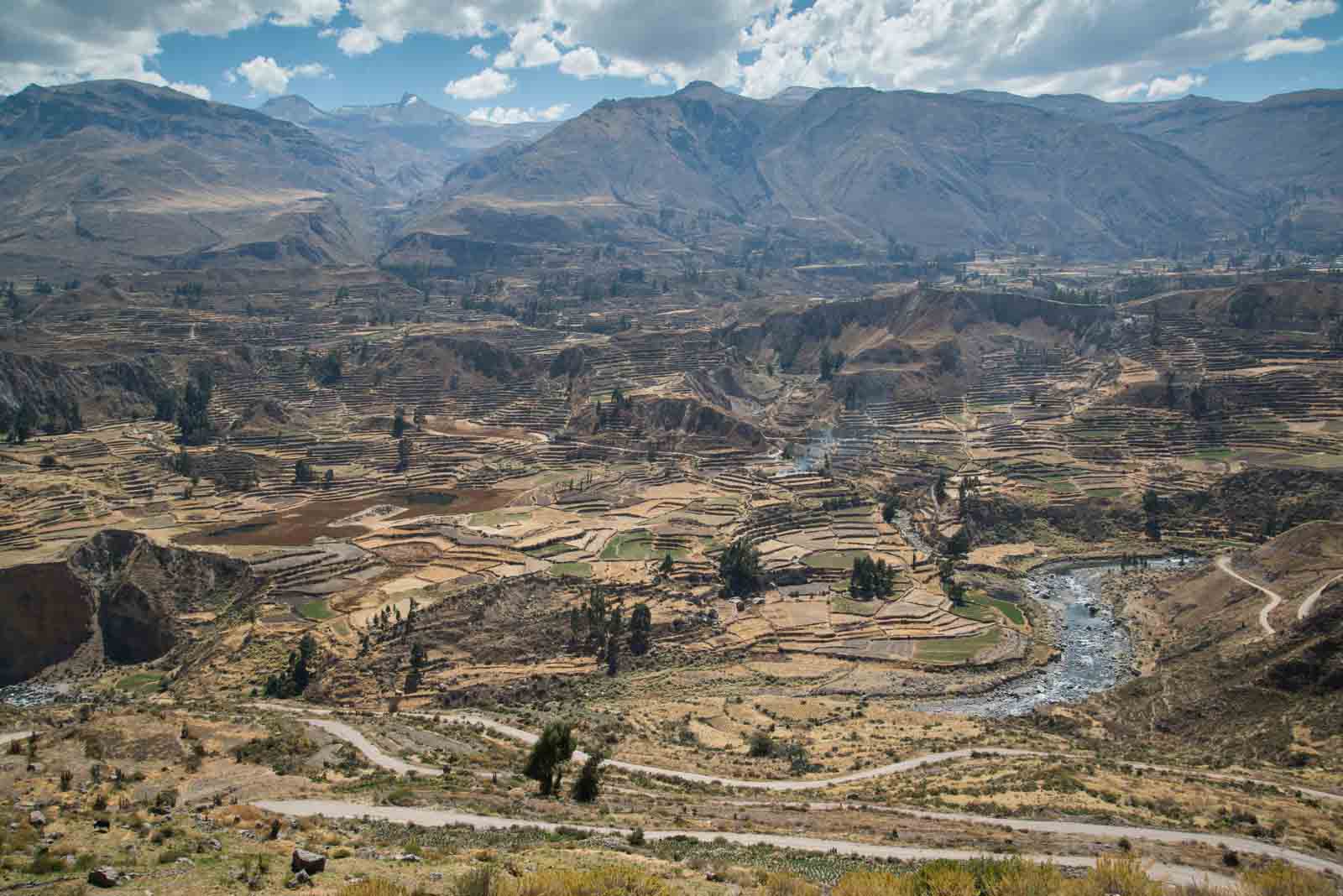 Colca Canyon | Peru