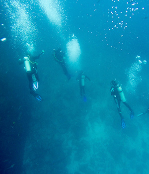 deep dive galapagos