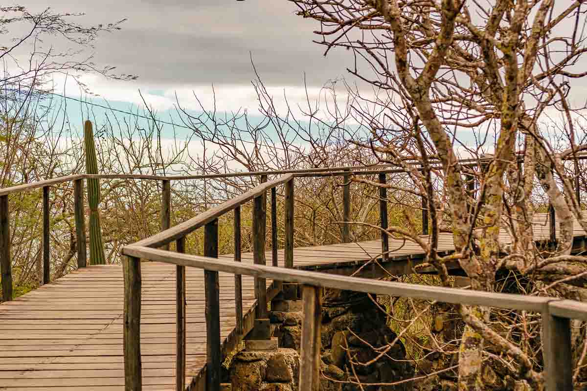 Designated Trails in Galapagos