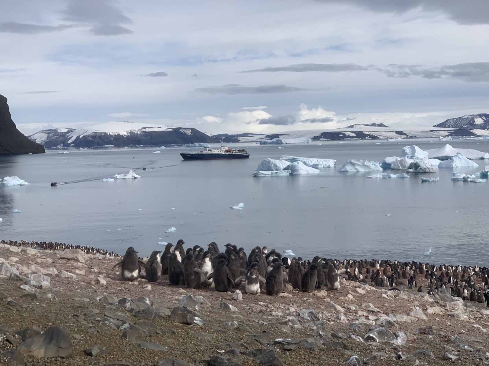 Devil Island | Antarctica
