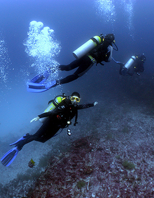 Galapagos diving