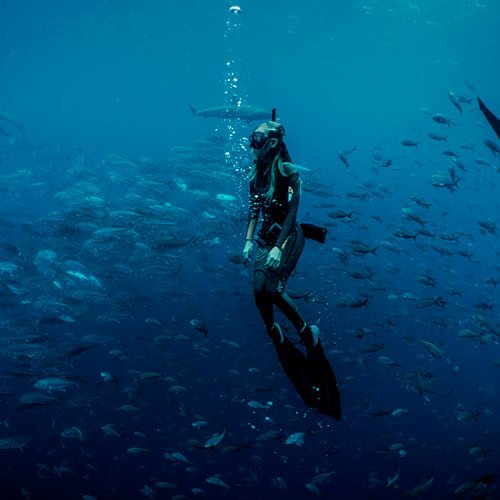 diving safety galapagos