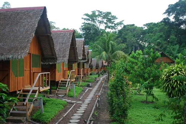 Eco Amazon Lodges