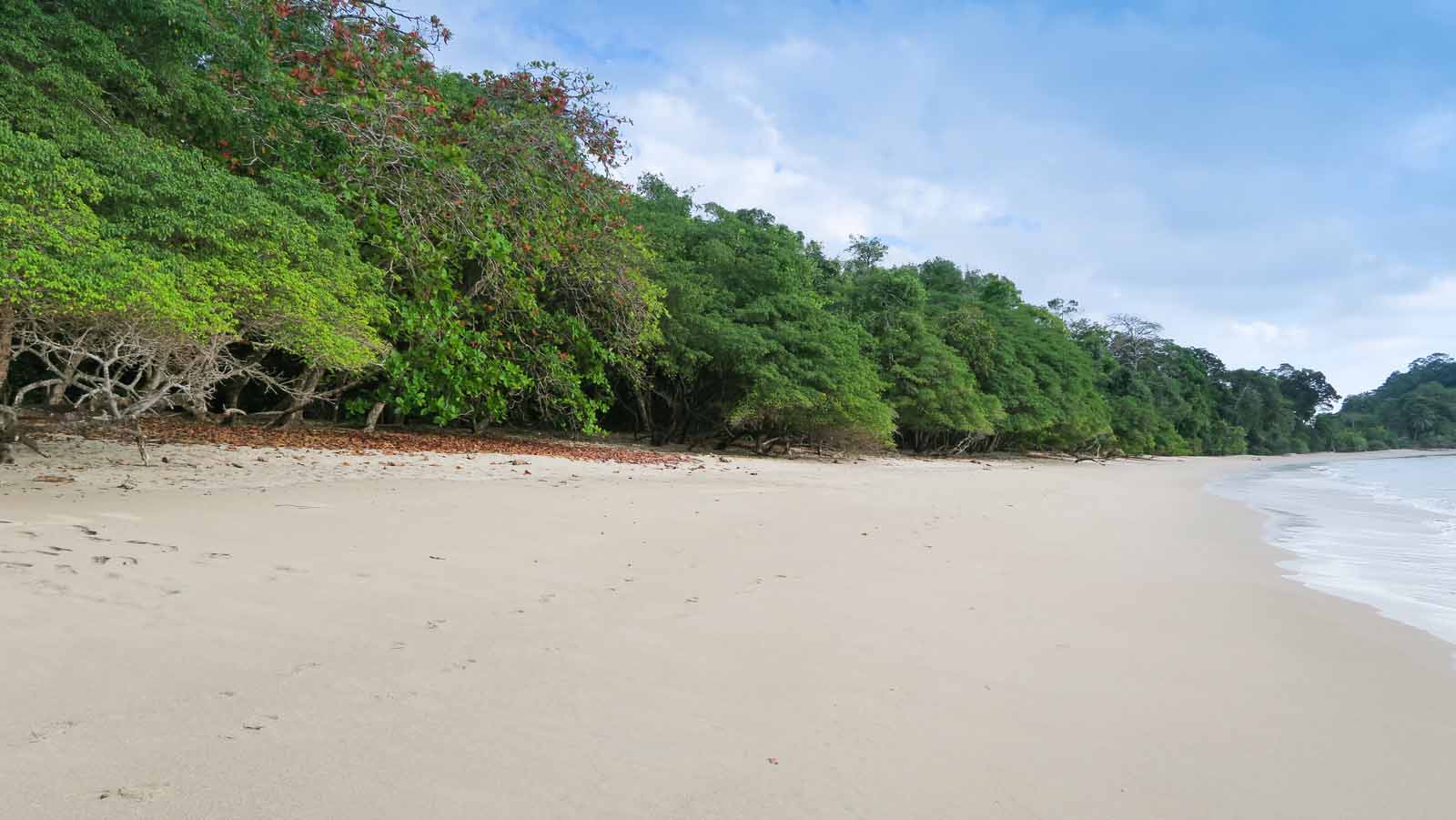 Espadilla Sur Beach | Costa Rica