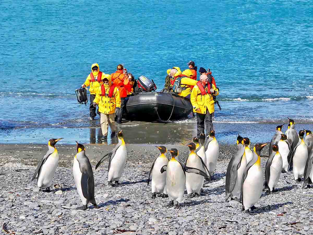 Zodiac landing South Georgia - Antarctica