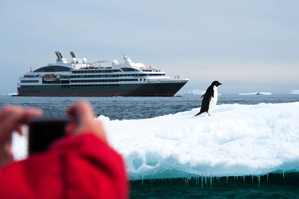 Expedition cruise with penguin - Antarctica 
