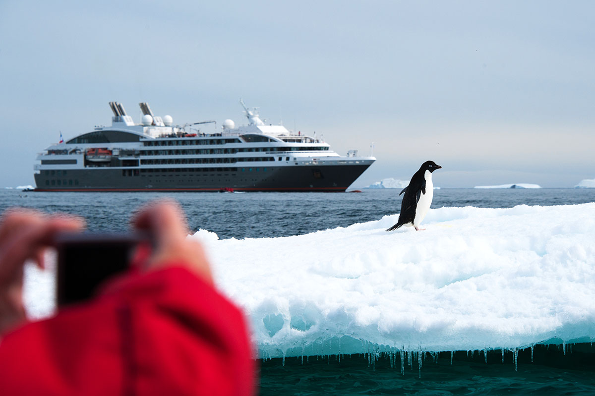 antarctic cruise tips Expedition cruise with penguin - Antarctica