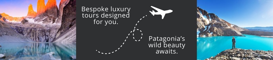 Visit Patagonia with us