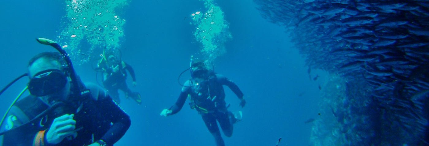 Diving Experience Galapagos