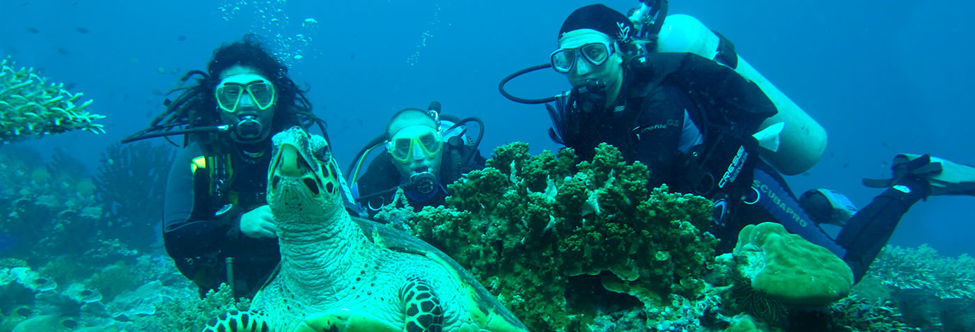 Galapagos Diving Tour