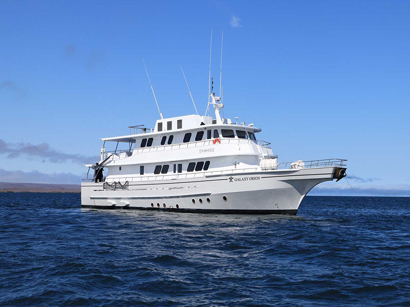 Galaxy Orion | Yacht
