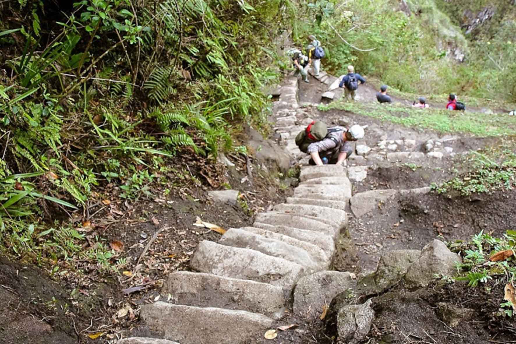 Huayna Picchu Mountain | Peru