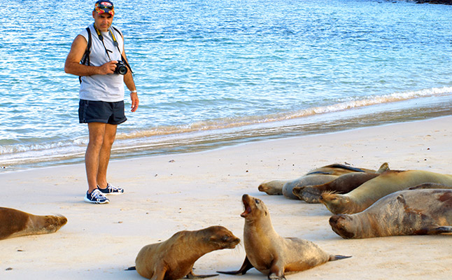 Galapagos wildlife