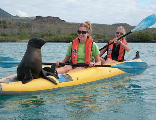 Kayaking in Galapagos Islands