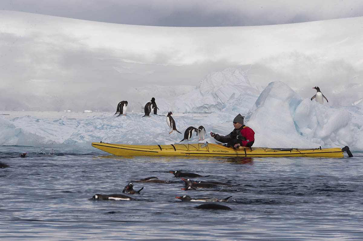 travel route to antarctica Sea Kayaking in Antarctica