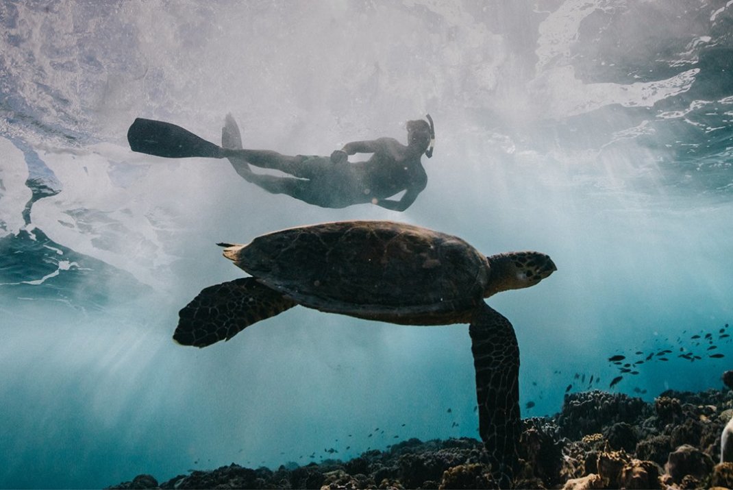 Kontiki expeditions | Experience