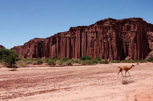 La Rioja  | Patagonia tours