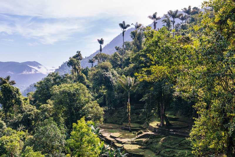 Lost City | Colombia