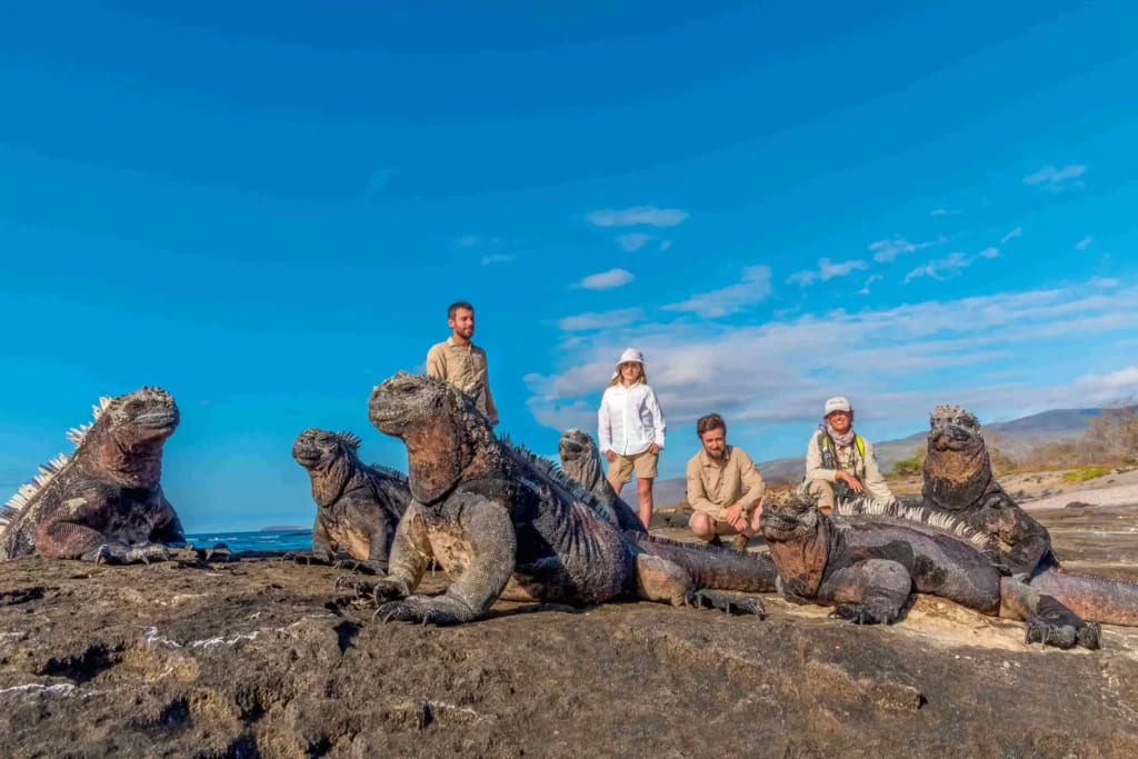 Marine Iguanas | Galapagos Islands