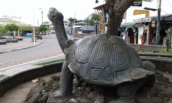 Lonesome George Monument | Galapagos