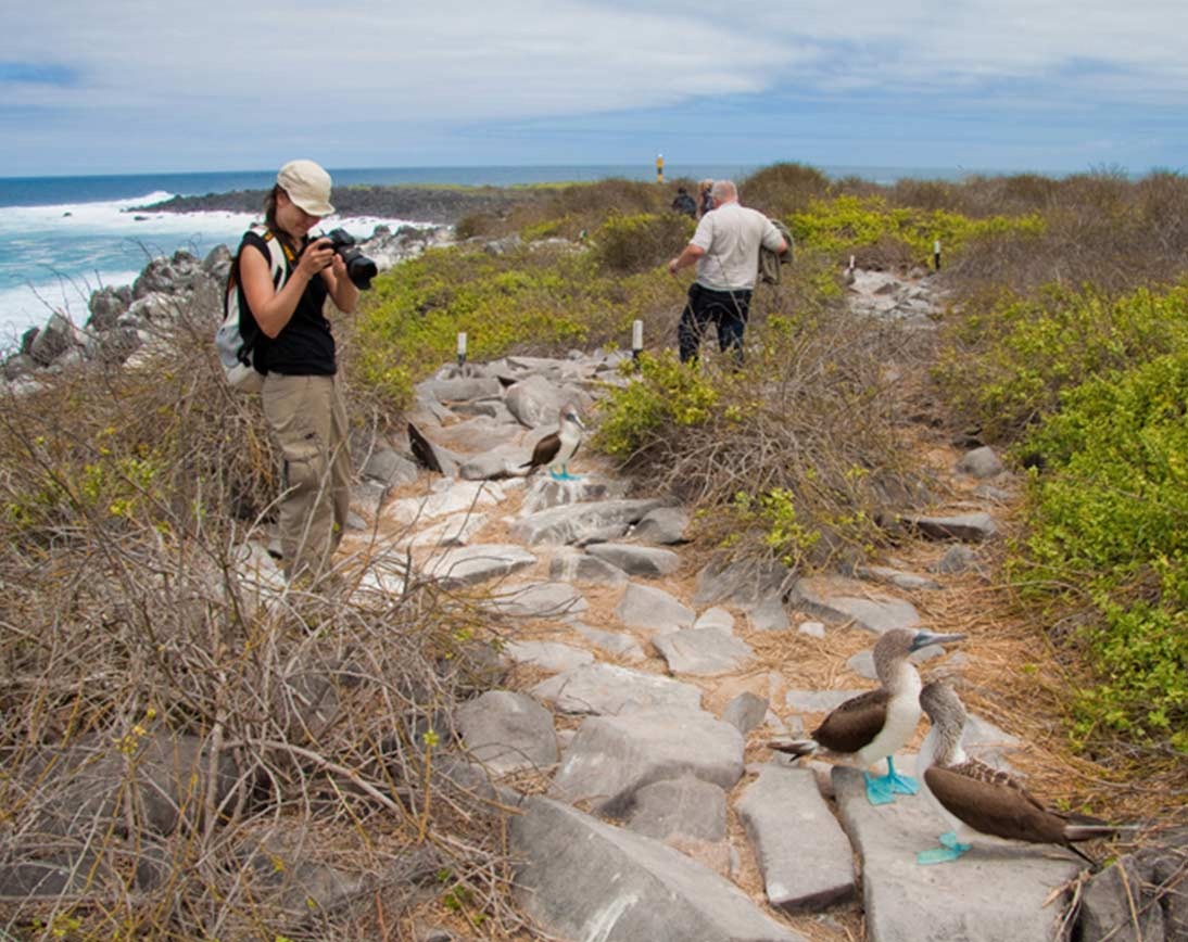 Seymour Island - Galapagos