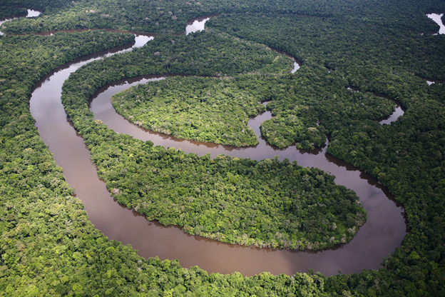 Amazon River | Peru