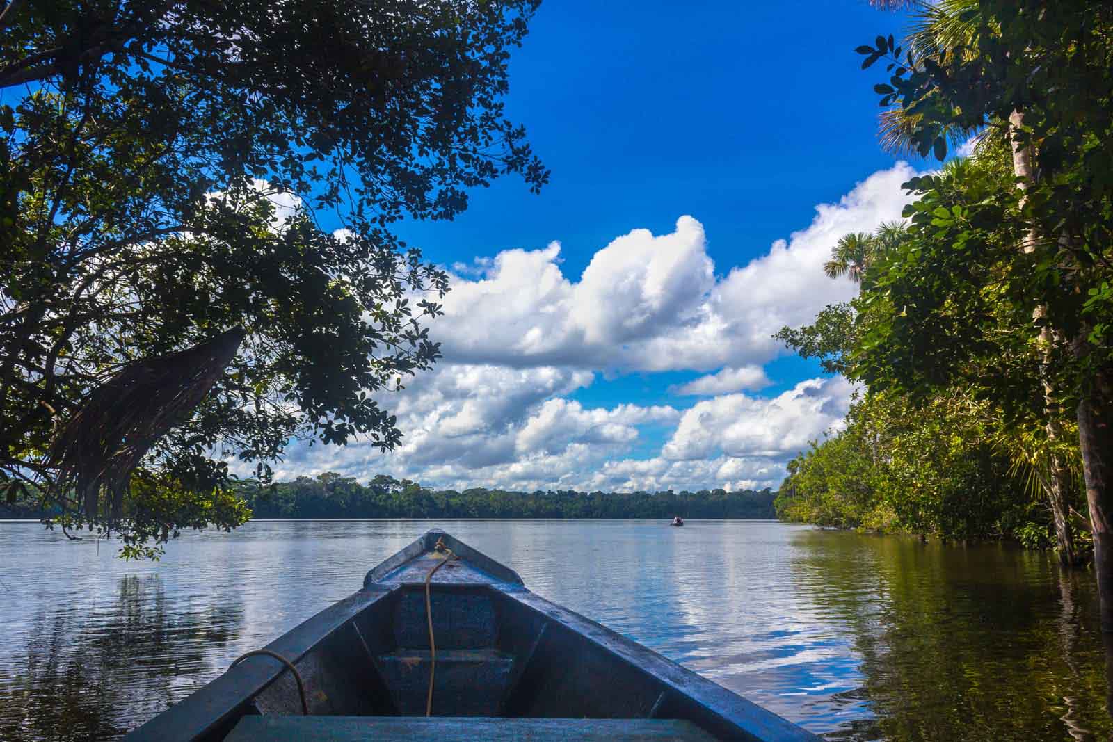 Tambopata National Reserve | Peru