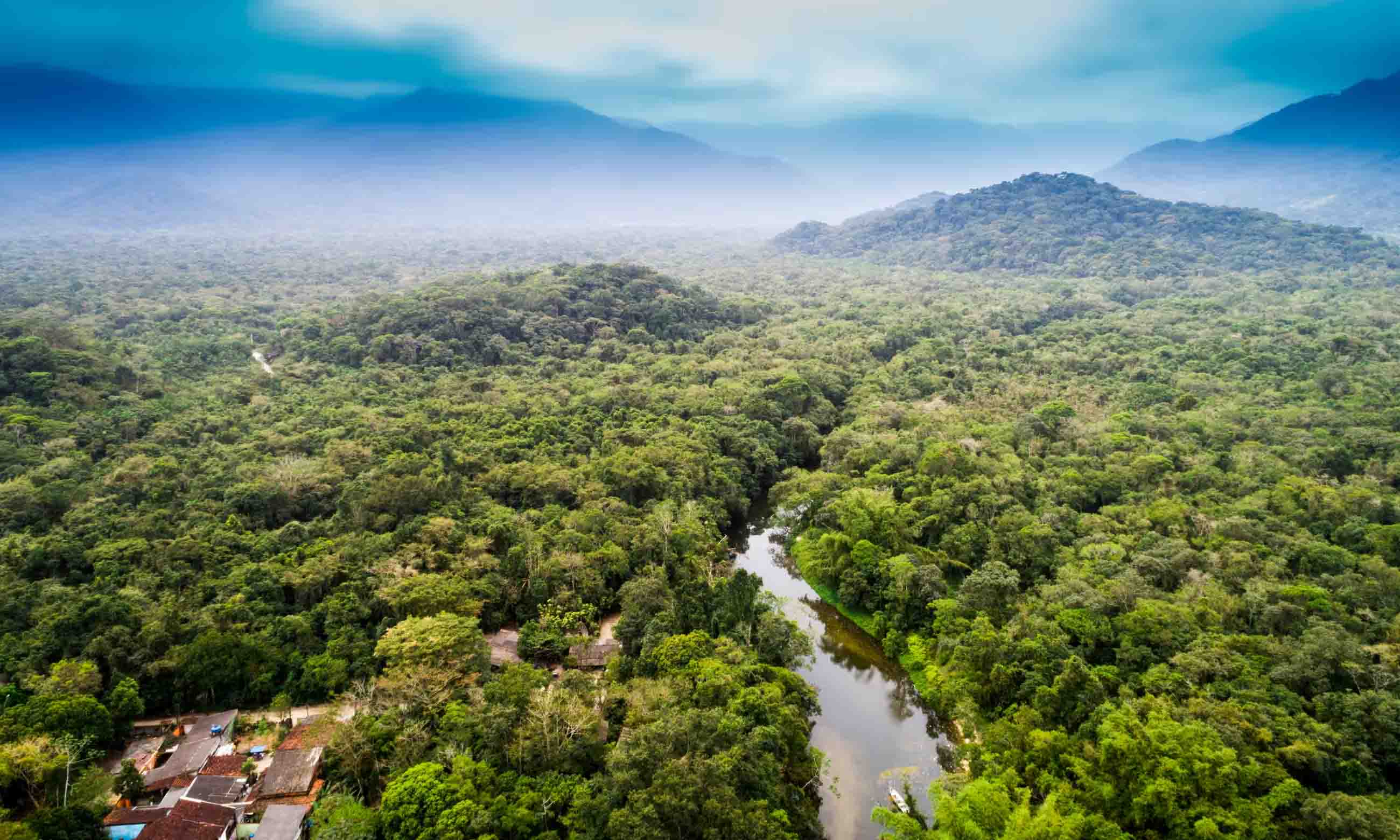 Peruvian Amazon