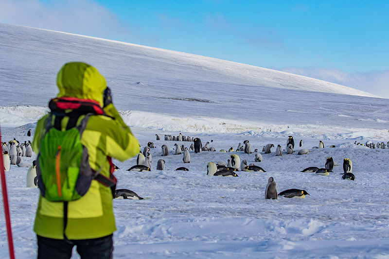 Tourist photographing a colony of emperor penguins | Antarctica
