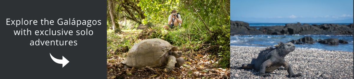 Tours Galapagos