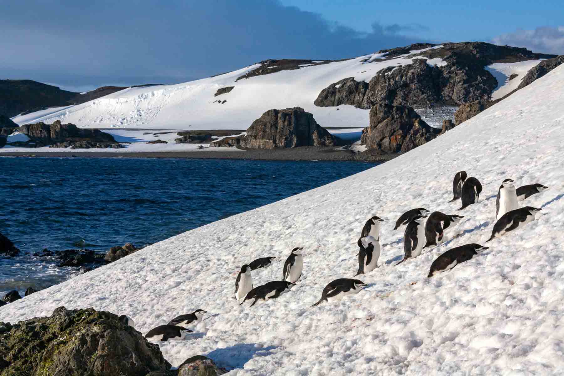 South Shetland Islands | Antarctica