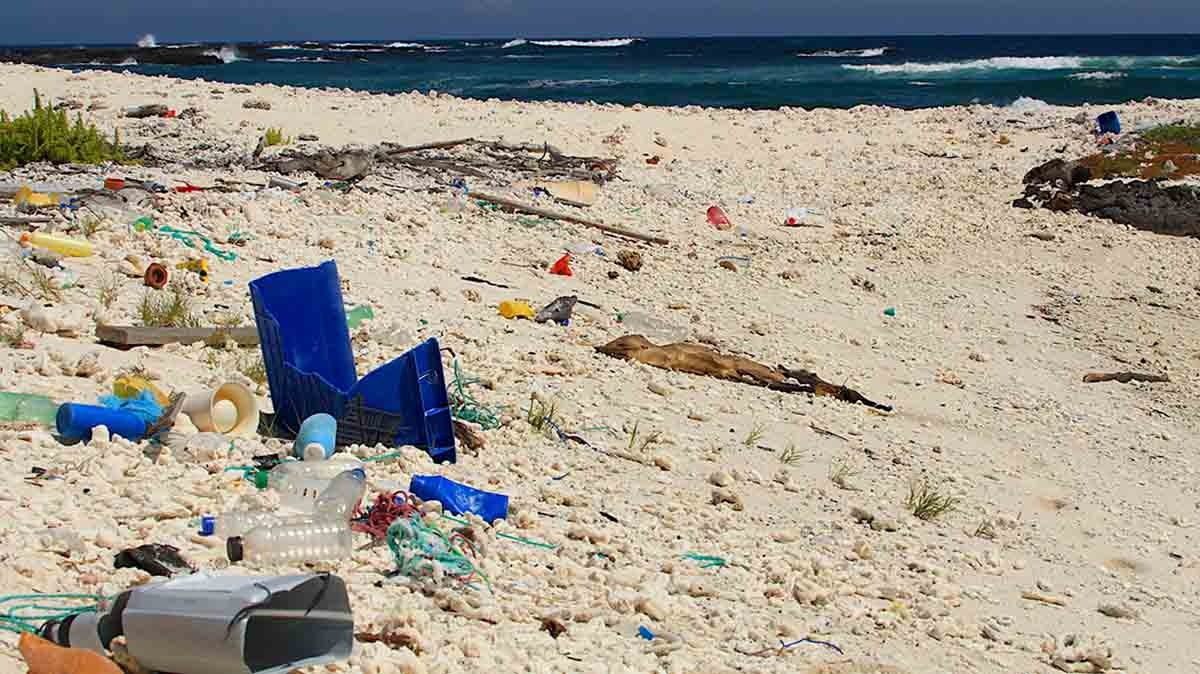 Plastic pollution | Galapagos