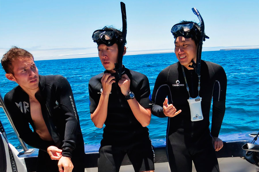 Snorkeling - Galapagos