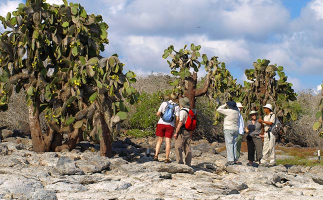 galapagos santa fe island