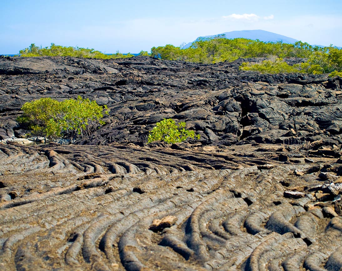 Sierra Negra Volcano