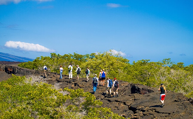 Galapagos cerro colorado