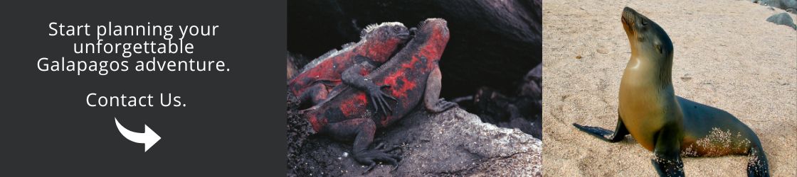Start planning your unforgettable Galapagos adventure - Contact Us