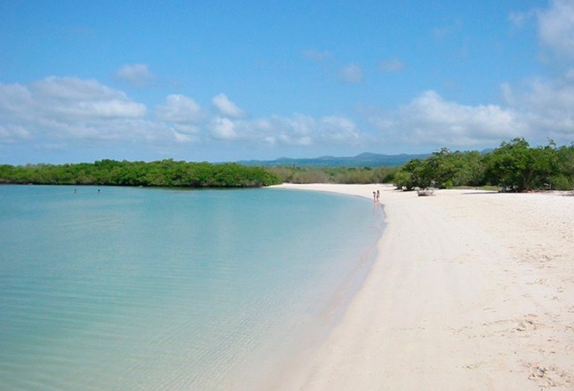 Tortuga Bay | Santa Cruz Island | Galapagos Islands