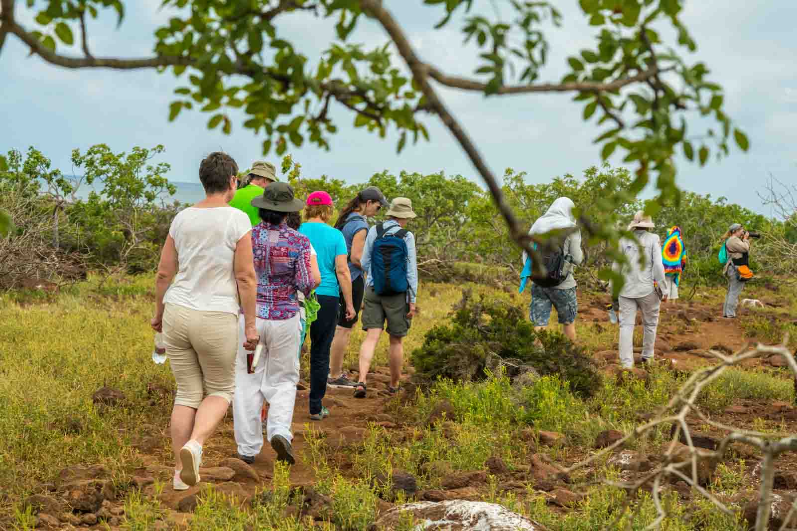 Guided Adventures | Navigating Galapagos National Park